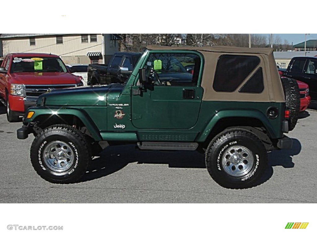 2001 Wrangler Sahara 4x4 - Forest Green / Camel/Dark Green photo #34