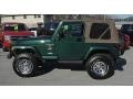 Forest Green - Wrangler Sahara 4x4 Photo No. 34