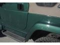 Forest Green - Wrangler Sahara 4x4 Photo No. 39