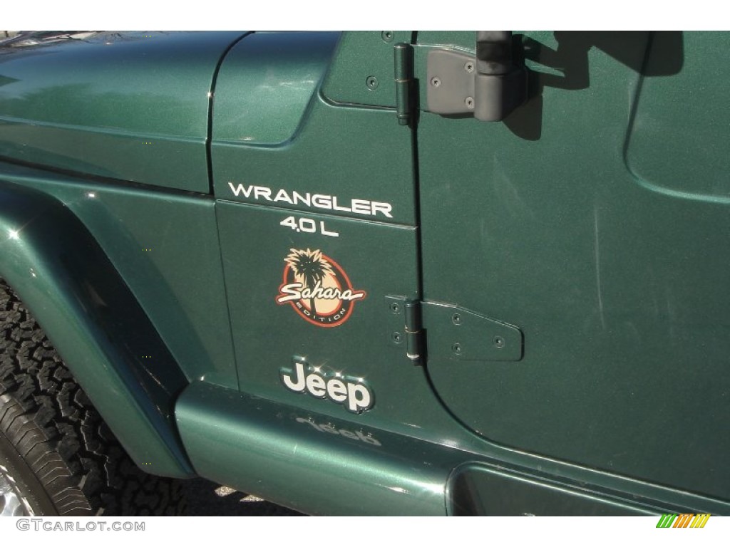 2001 Wrangler Sahara 4x4 - Forest Green / Camel/Dark Green photo #41