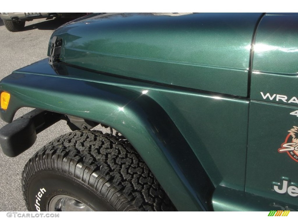 2001 Wrangler Sahara 4x4 - Forest Green / Camel/Dark Green photo #42