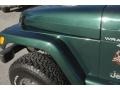 Forest Green - Wrangler Sahara 4x4 Photo No. 42