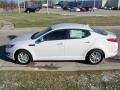 Snow White Pearl - Optima LX Photo No. 6