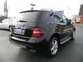 Black - ML 350 4Matic Photo No. 2