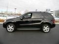 Black - ML 350 4Matic Photo No. 3