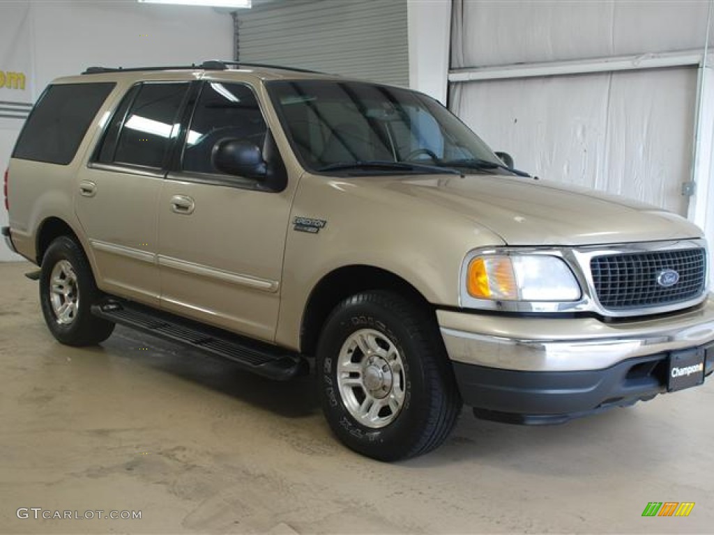 2000 Expedition XLT - Harvest Gold Metallic / Medium Graphite photo #3