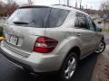 2008 Pewter Metallic Mercedes-Benz ML 350 4Matic  photo #10