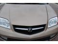 Mesa Beige Metallic - MDX  Photo No. 12