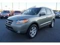 2008 Natural Khaki Green Hyundai Santa Fe SE  photo #6