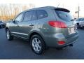 2008 Natural Khaki Green Hyundai Santa Fe SE  photo #41