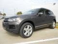 Galapagos Metallic - Touareg VR6 FSI Lux 4XMotion Photo No. 3