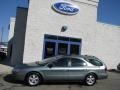 2005 Light Tundra Metallic Ford Taurus SE  photo #2