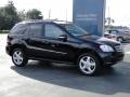 2008 Obsidian Black Metallic Mercedes-Benz ML 350 4Matic  photo #13