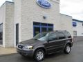 Dark Stone Metallic - Escape XLT V6 4WD Photo No. 1