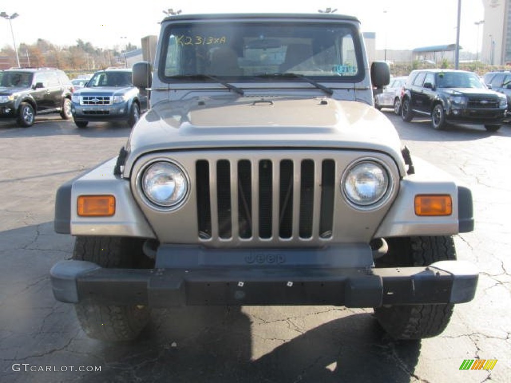 2004 Wrangler X 4x4 - Light Khaki Metallic / Khaki photo #5
