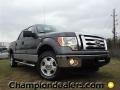 2012 Sterling Gray Metallic Ford F150 XLT SuperCrew  photo #1