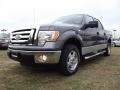 Sterling Gray Metallic 2012 Ford F150 XLT SuperCrew Exterior