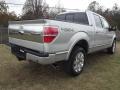 Ingot Silver Metallic 2012 Ford F150 Platinum SuperCrew 4x4 Exterior