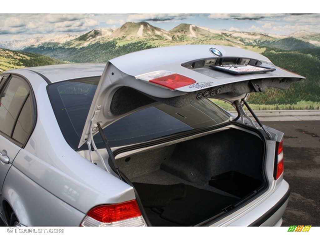 2003 3 Series 325xi Sedan - Titanium Silver Metallic / Black photo #20