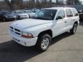 2001 Bright White Dodge Durango SLT 4x4  photo #3