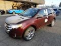 Cinnamon Metallic - Edge SEL AWD Photo No. 8