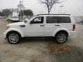 Stone White - Nitro SE 4x4 Photo No. 5