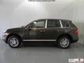 Macadamia Metallic - Cayenne Tiptronic Photo No. 5