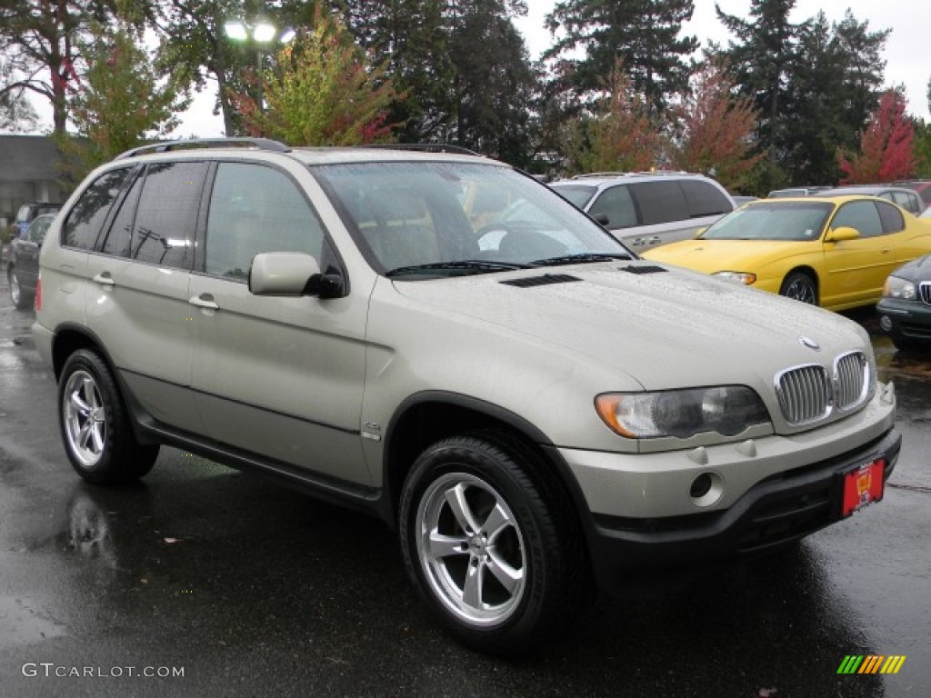 2002 X5 4.4i - Pearl Beige Metallic / Beige photo #2