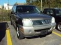 2002 Mineral Grey Metallic Mercury Mountaineer AWD  photo #1