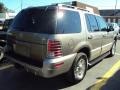 2002 Mineral Grey Metallic Mercury Mountaineer AWD  photo #6