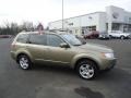 2009 Topaz Gold Metallic Subaru Forester 2.5 X Premium  photo #5