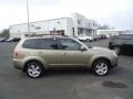 2009 Topaz Gold Metallic Subaru Forester 2.5 X Premium  photo #6