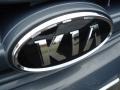 2008 Olive Gray Metallic Kia Sedona LX  photo #29