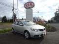 2010 Bright Silver Kia Forte LX  photo #39