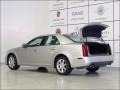 Light Platinum - STS 4 V6 AWD Photo No. 6
