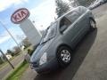 2008 Glacier Blue Metallic Kia Sedona LX  photo #1