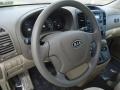 2008 Glacier Blue Metallic Kia Sedona LX  photo #17