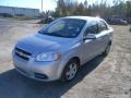 2010 Cosmic Silver Chevrolet Aveo LT Sedan  photo #1