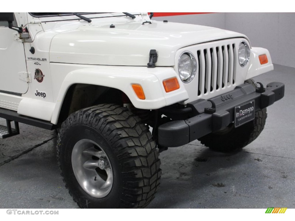 2000 Wrangler Sahara 4x4 - Stone White / Camel/Dark Green photo #5