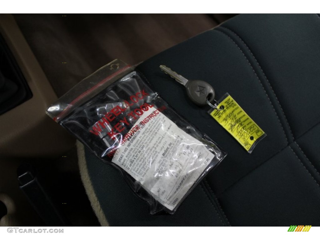 2000 Wrangler Sahara 4x4 - Stone White / Camel/Dark Green photo #74