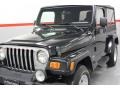 Black - Wrangler Unlimited 4x4 Photo No. 11