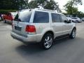 2004 Silver Birch Metallic Lincoln Aviator Luxury  photo #4