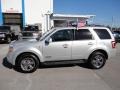 2008 Silver Metallic Ford Escape Limited  photo #2