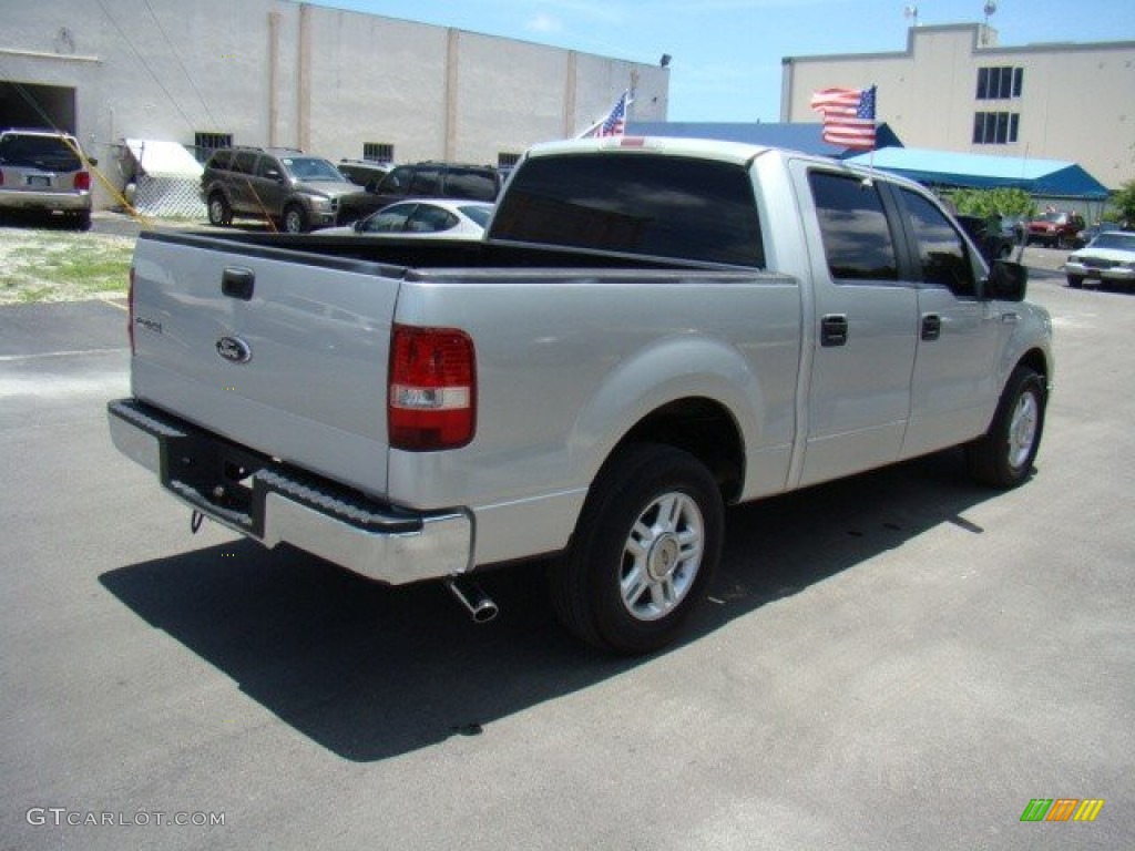 2006 F150 XLT SuperCrew - Silver Metallic / Medium/Dark Flint photo #5