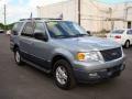 Pewter Metallic - Expedition XLT Photo No. 3