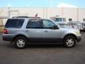 2006 Pewter Metallic Ford Expedition XLT  photo #4