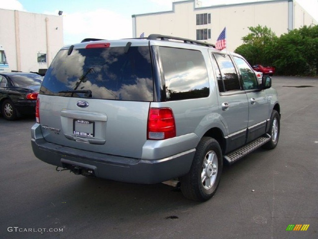 2006 Expedition XLT - Pewter Metallic / Medium Flint Grey photo #5