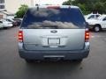 Pewter Metallic - Expedition XLT Photo No. 6