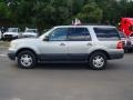 Pewter Metallic - Expedition XLT Photo No. 8