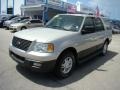 Silver Birch Metallic 2006 Ford Expedition XLT